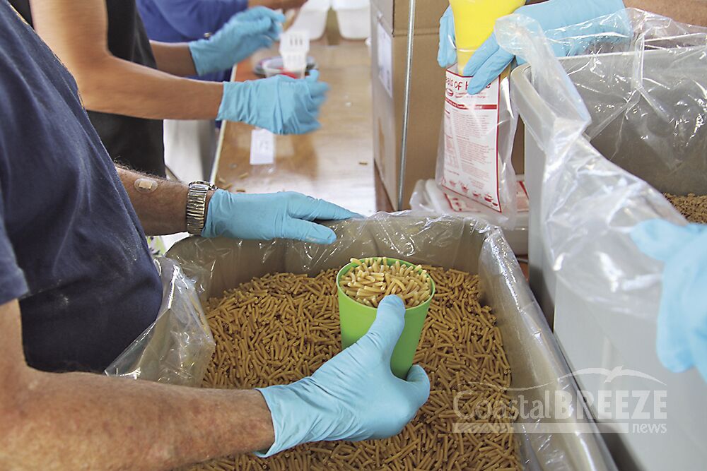 Meals of Hope packaging process_1